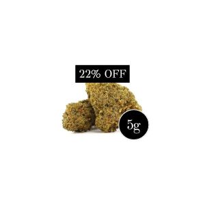 Bild wonderland haze superdeal thca