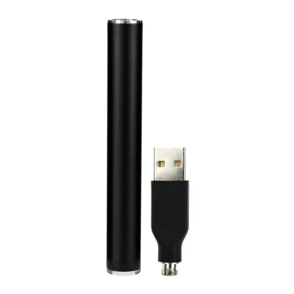 Bild batteri