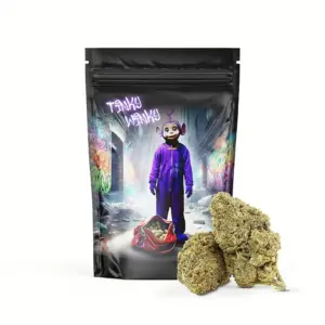 Bild tinky winky bids