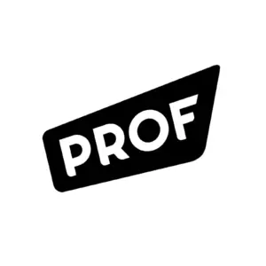 Bild prof logo
