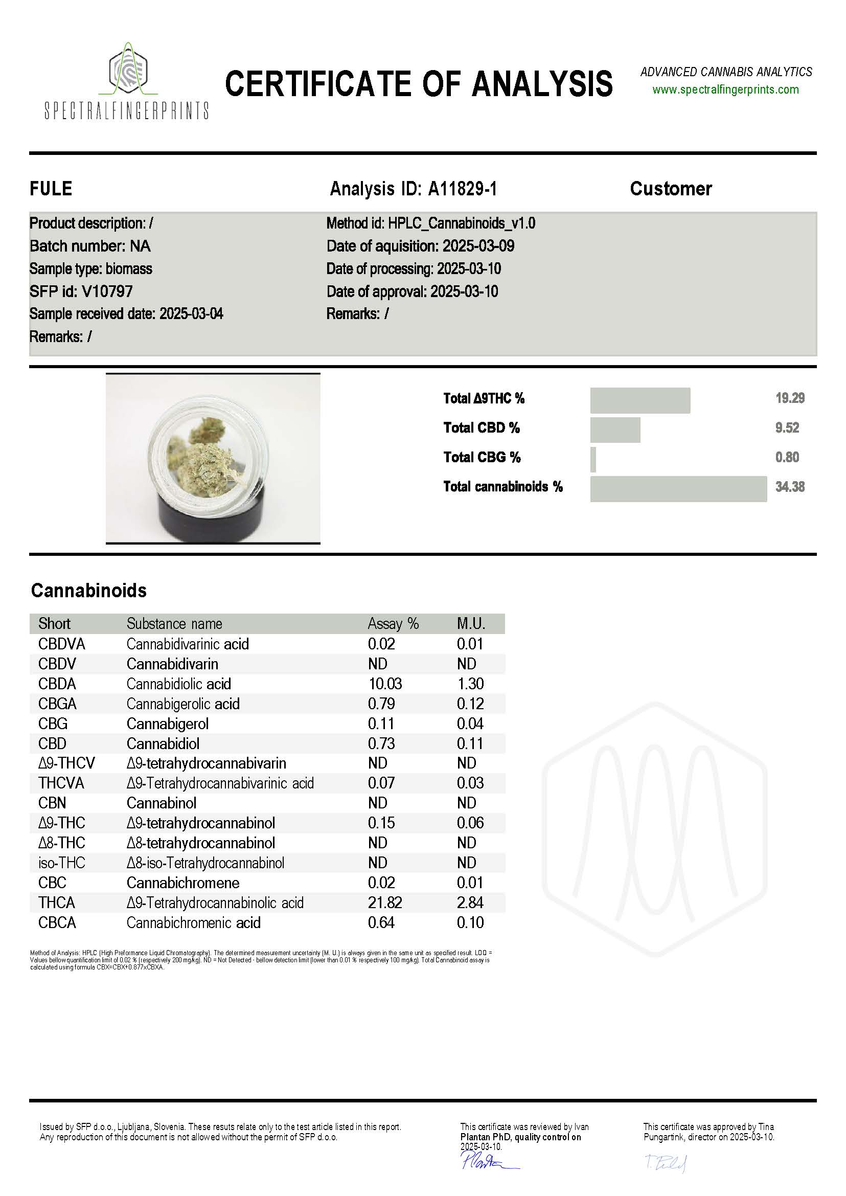 THCA Buds - Bangkok Sativa 22% - Afbeelding 2