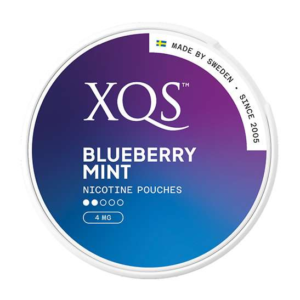 XQS Blueberry Mint