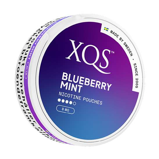 XQS Blueberry Mint Strong - Bild 2