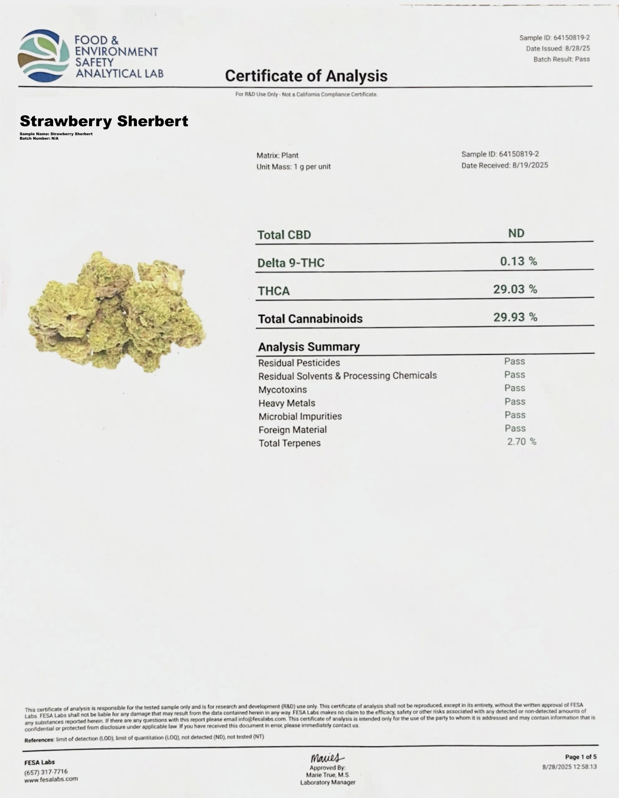 THCA Buds Strawberry Sherbert 29% - Billede 2