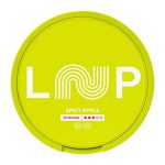 LOOP Spicy Apple Strong