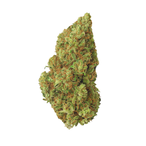 Pineapple express 33% THCA Buds