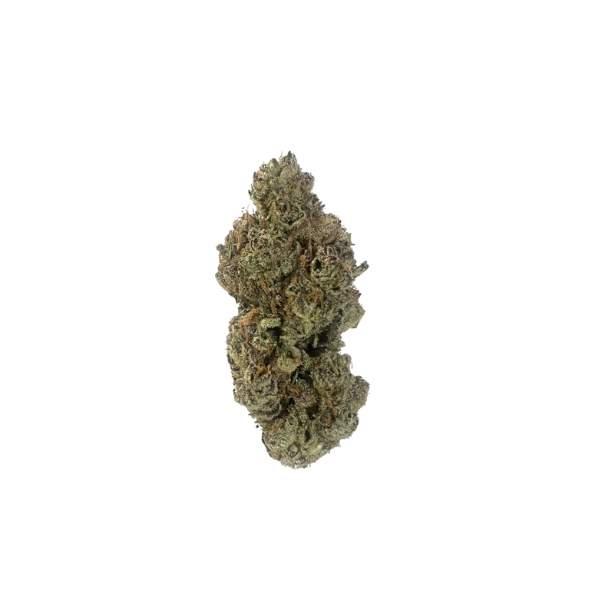 thca buds watermelon kush