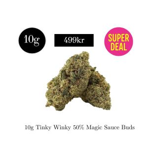 Magic Sauce Buds - Tinky Winky